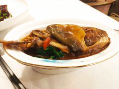 红烧河豚-肆月河豚·新淮扬(金融街店)