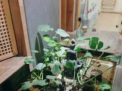 -邈墨茶馆(凤起路店)