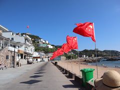 -枸杞岛