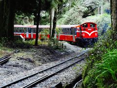 -天秀花园古月园