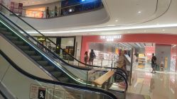 -THE COLORIST调色师