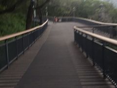 -金鸡山公园
