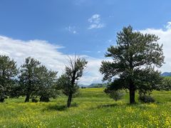 -新疆那拉提国家旅游度假区