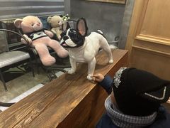 -LYFATTI 莱芙缇(赣水路店)