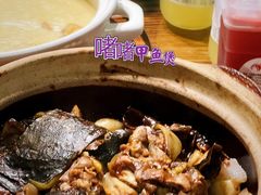 -金龙·打边炉(南京西路店)