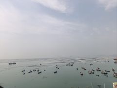-枸杞岛