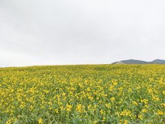 -日月山景区