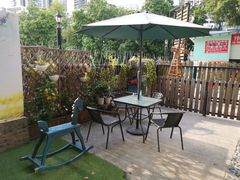 -柴犬高等学院·狗咖·柴犬售卖·宠物训练