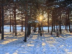 -北极村旅游风景区