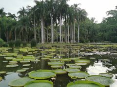 -中国科学院西双版纳热带植物园