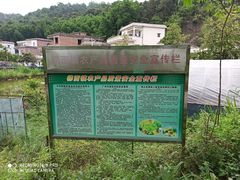 -红山村