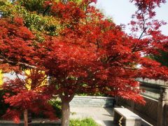 -木渎古镇