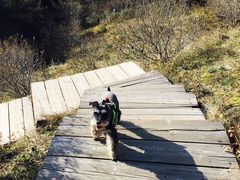 -白草畔自然风景区