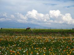-青海湖国家重点风景名胜区