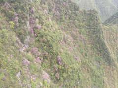 -秦岭天竺山景区