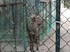 -北京麋鹿生态实验中心