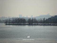 -东湖落雁景区