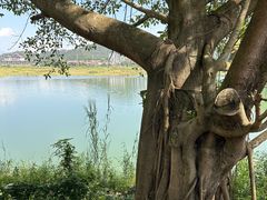 -孔雀湖生态旅游区