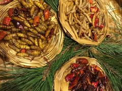 蚕蛹、蚱蜢-昆虫窝子·特色云南菜(拓东路总店)