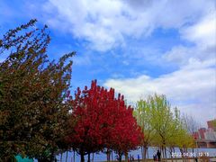 -长白岛森林公园