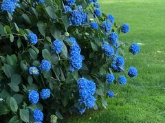 -常州古运河南大街文化旅游区-人民公园