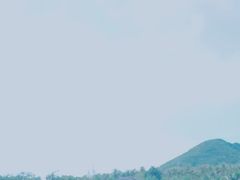-亚龙湾国际玫瑰谷