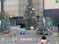 -东莞松山湖万象汇