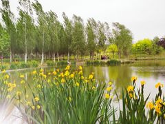 -东郊湿地公园