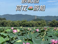 -颐和园