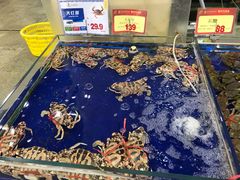 水产区-东江海鲜酒家(艺都分店)