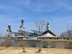 -盐城丹顶鹤湿地生态旅游区