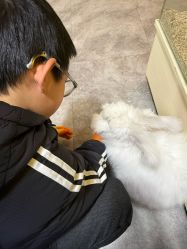 点击看大图 -神奇动物撸宠馆·羊驼·小浣熊·异宠(豫园店)
