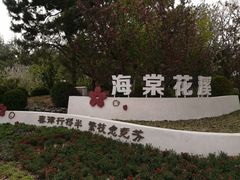 -海棠花溪(元大都城垣遗址公园)