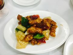 -新陶陶酒家