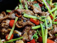 -秦月轩·陕西家乡菜(阜成路·五棵松店)