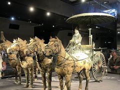 -秦始皇帝陵博物院-丽山园