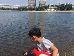 -台场海滨公园船码头