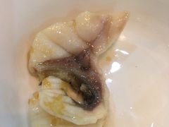 -豪华脆肉鲩
