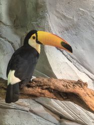 -Zoolung Zoolung动物主题公园(海信广场店)