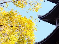 -常熟方塔园
