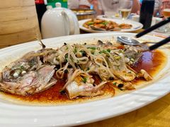 清蒸海鲈鱼-新海利海鲜城·41年珠海老字号(夏湾店)