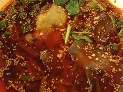 -老板恋上鱼(恒隆广场店)