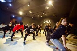 -DNA舞室