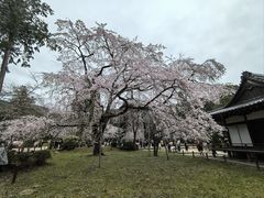 -醍醐寺
