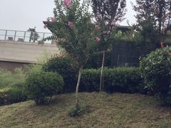 -陕西汤峪会议中心温泉酒店