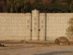 -函谷关历史文化旅游区