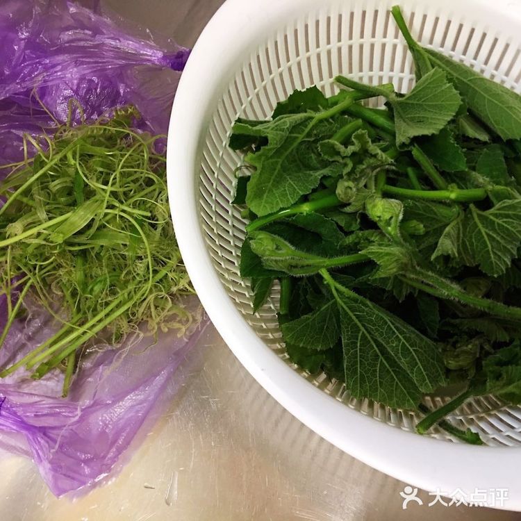 好吃美味绿化你的视野的炒南瓜尖
