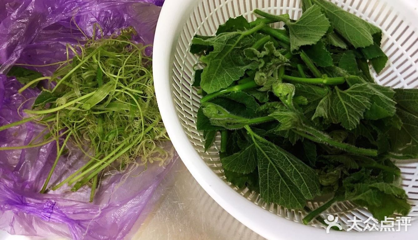 好吃美味绿化你的视野的炒南瓜尖
