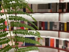 -二酉书店TOYOU BOOKS