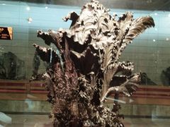 -乐山乌木文化博览苑